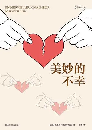 《美妙的不幸》封面