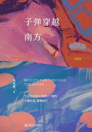 《子弹穿越南方》封面