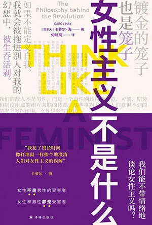 《女性主义不是什么》封面