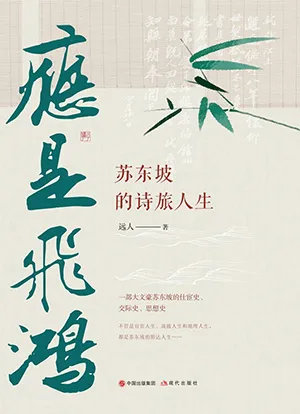 《应是飞鸿：苏东坡的诗旅人生》封面