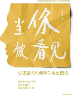《当你被看见：心理咨询如何帮你走出困境》封面