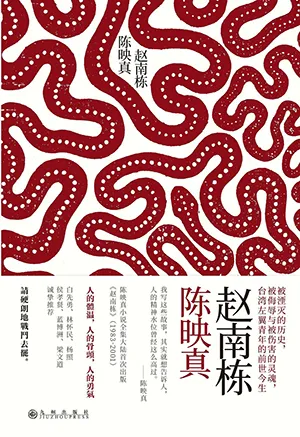 《赵南栋:陈映真小说全集03》封面