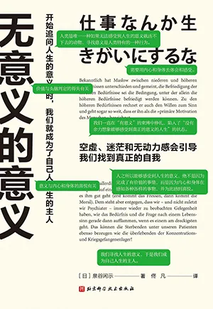 《无意义的意义》封面