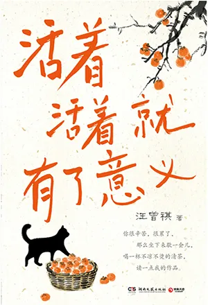 《活着活着就有了意义》封面