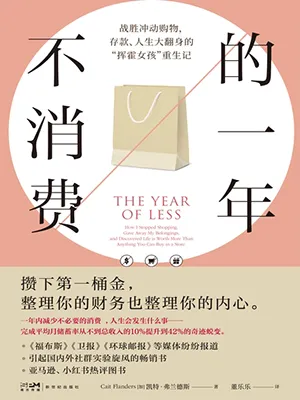 《不消费的一年》封面