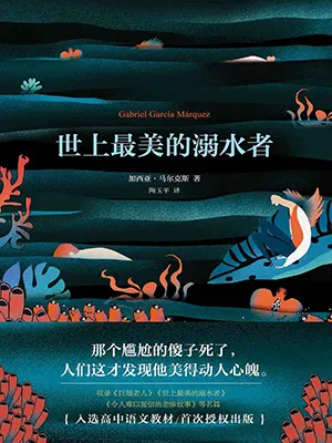 《世上最美的溺水者》封面