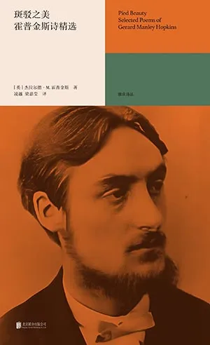 《斑驳之美:霍普金斯诗选》封面