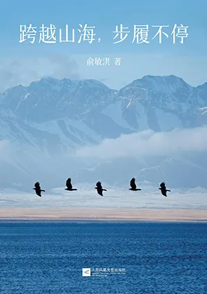 《跨越山海，步履不停》封面