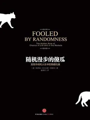 《随机漫步的傻瓜》封面