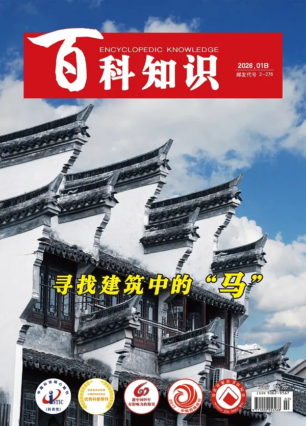 百科知识（2026年第2期）封面