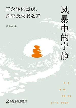 风暴中的宁静封面