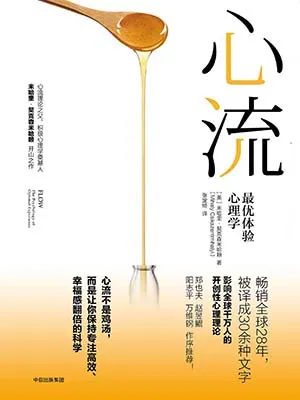 心流封面