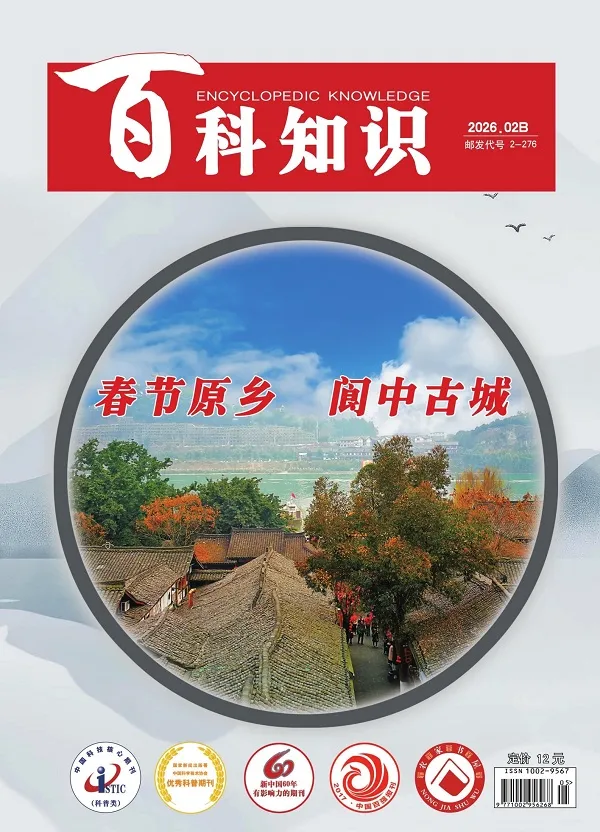 百科知识（2026年第4期）封面