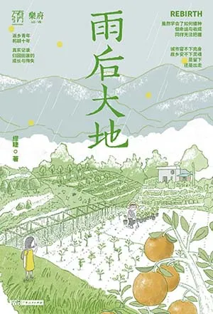 雨后大地封面