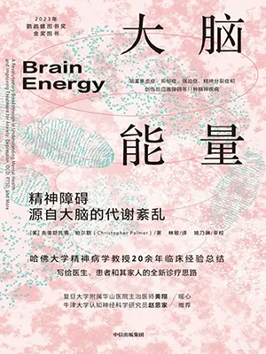 大脑能量封面