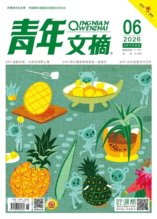 青年文摘（2026年第6期）封面