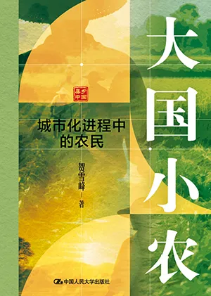 大国小农封面
