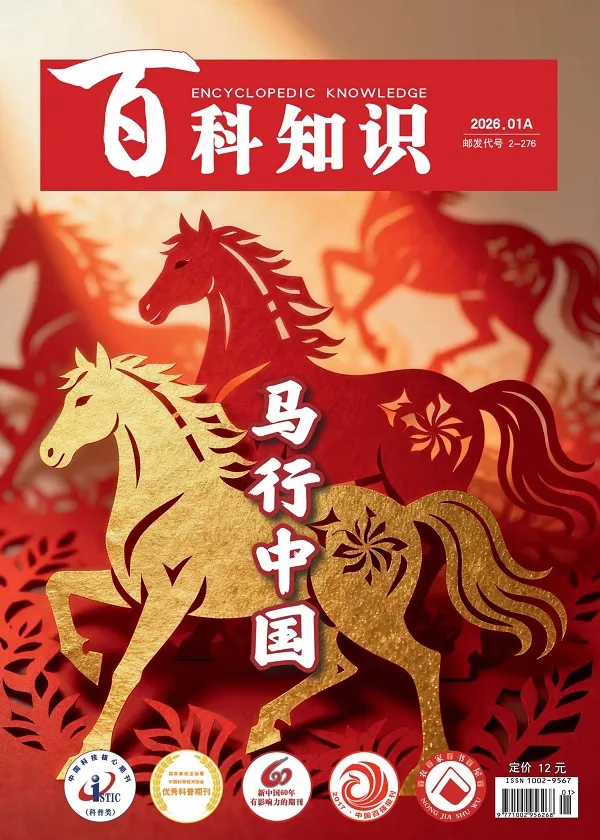 《百科知识(2026年第1期)》封面