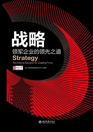 战略：领军企业的领先之道光华思想力书系封面
