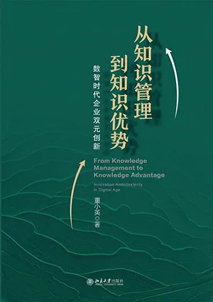从知识管理到知识优势电子书封面