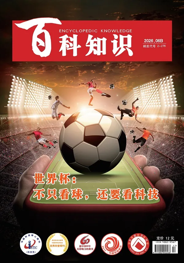 百科知识（2026年第12期）封面