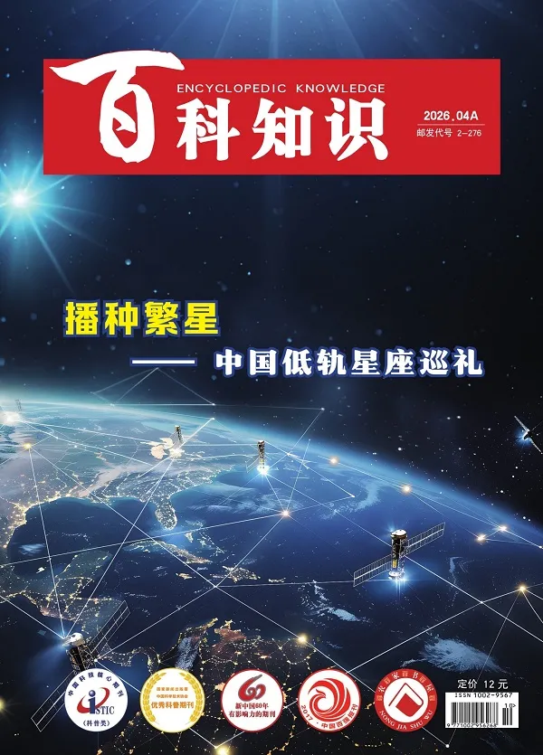 《百科知识(2026年第7期)》封面