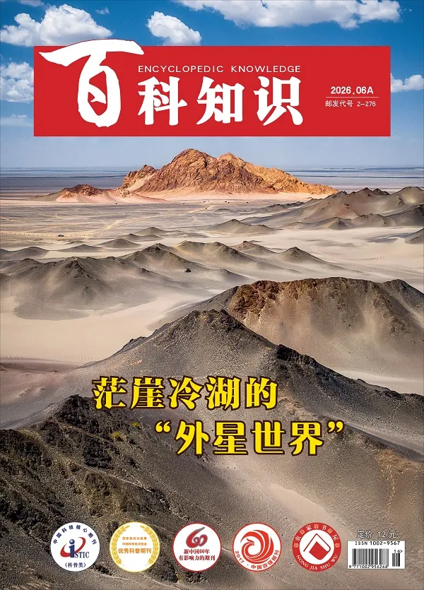百科知识（2026年第11期）封面