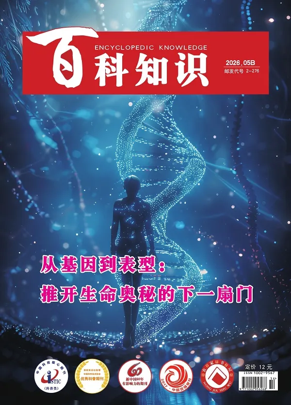 百科知识（2026年第10期）封面