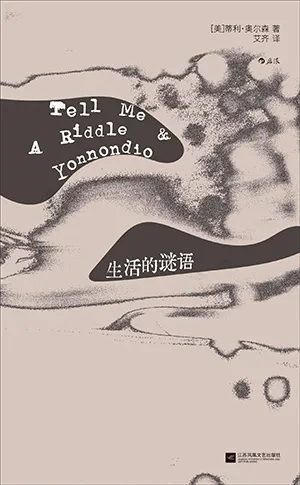 生活的谜语封面