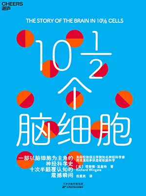 10½个脑细胞封面