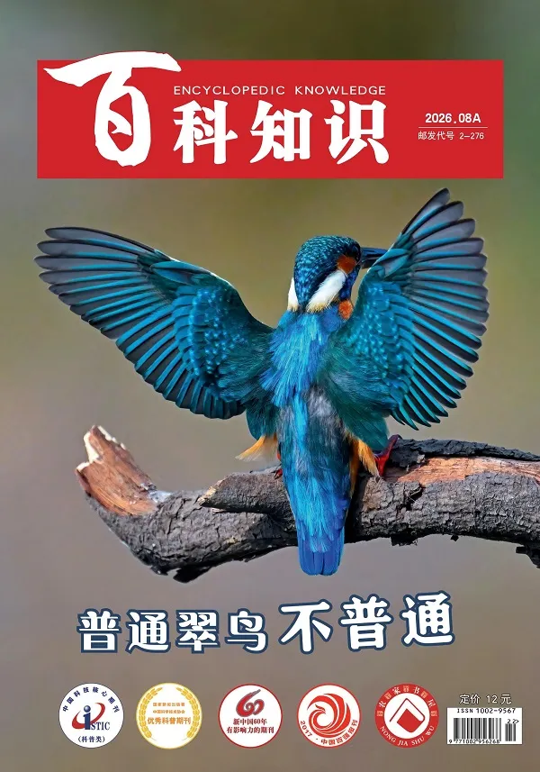 百科知识（2026年第15期）封面