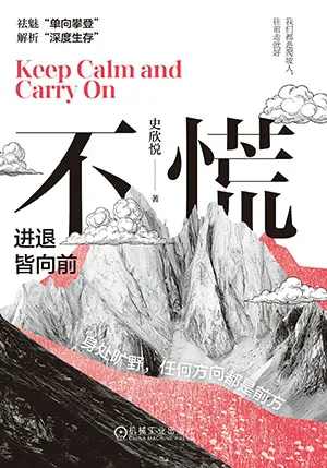 《不慌:进退皆向前》封面