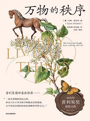 万物的秩序封面