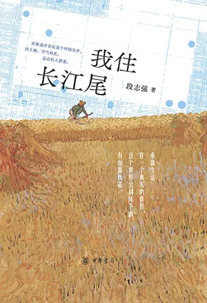 《我住长江尾》封面