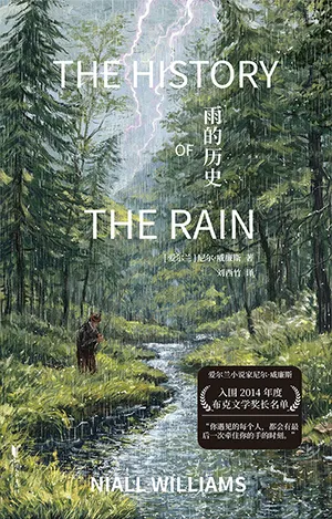 雨的历史封面