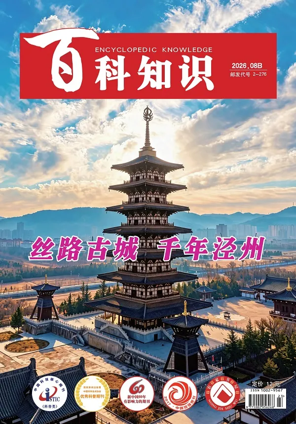 百科知识（2026年第16期）封面