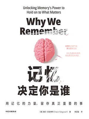 记忆决定你是谁封面