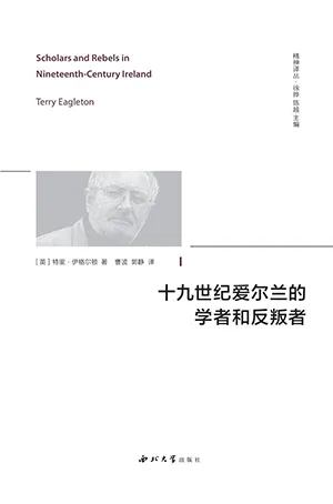 《十九世纪爱尔兰的学者和反叛者》封面