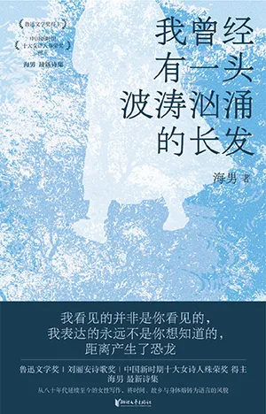 我曾经有一头波涛汹涌的长发封面