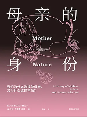 母亲的身份封面