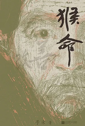 猴命电子书封面