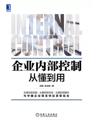 企业内部控制从懂到用封面