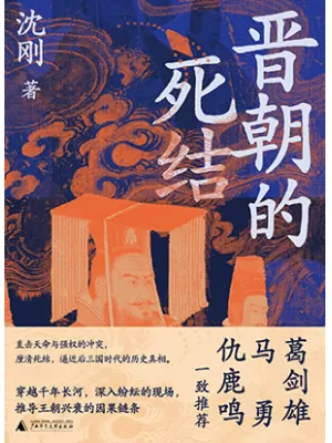 晋朝的死结封面