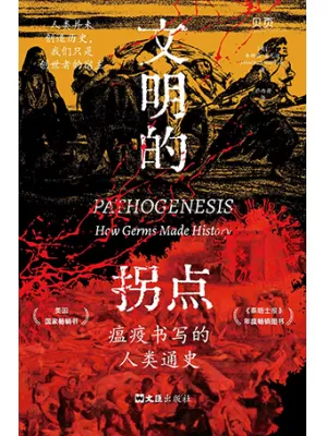 文明的拐点封面