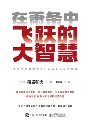 在萧条中飞跃的大智慧封面