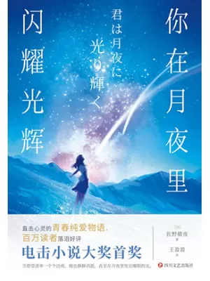 《你在月夜里闪耀光辉》封面