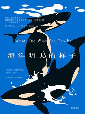 海洋明天的样子