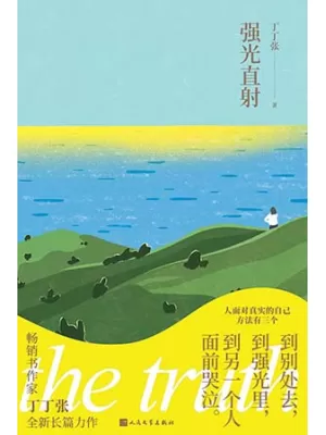 《强光直射》封面
