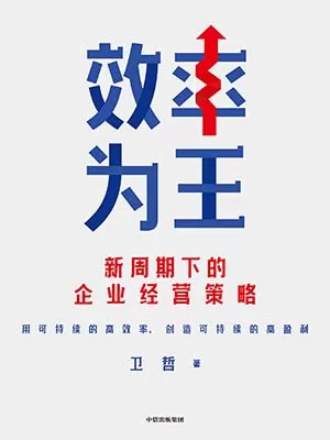 《效率为王：新周期下的企业经营策略》封面