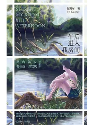 《午后进入我房间》封面